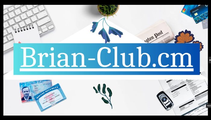 Briansclub: CVV2-Fullz Bins Dumps Shop Career Advice & Tips