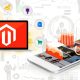 Everything You Need to Know about Magento Development Services