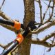 Tree Removal In Werribee: The Importance Of Professional Expertise And Tree Pruning Advantages