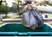 Why Use Garbage Removal Services & How to Get Great Ones