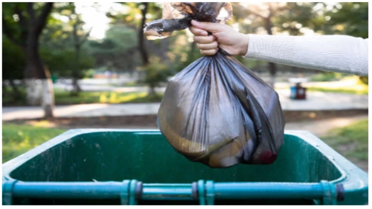 Why Use Garbage Removal Services & How to Get Great Ones