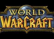 The Future of the World of Warcraft