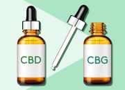 Comparison between CBG and CBD