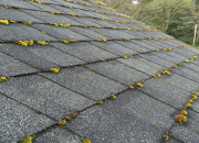 Maintaining a Moss-Free Roof: Tips for Pacific Northwest Homeowners