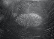 The Ultimate Guide to Selecting a Reliable Fingerprint Background Checks Service