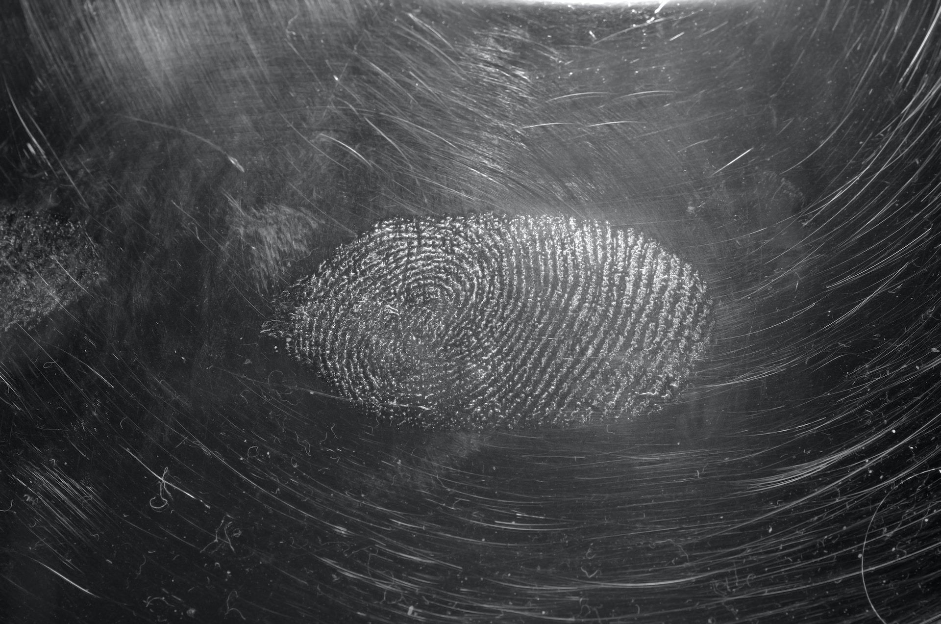 The Ultimate Guide to Selecting a Reliable Fingerprint Background Checks Service