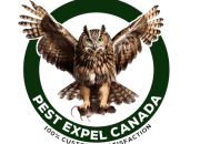 Pest control Richmond Hill- The trusted name of rat removal and control