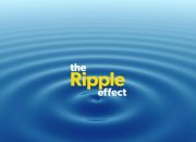 The Ripple Effect: How Small Donations Can Make Big Waves