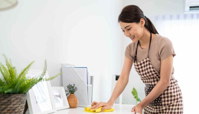 Professional Maid Services In Maintaining A Clean And Organized Home