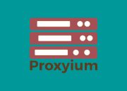 An All-encompassing Scrutiny Of The Capabilities And Applications Of The Proxyium/Proxyium.com Platform