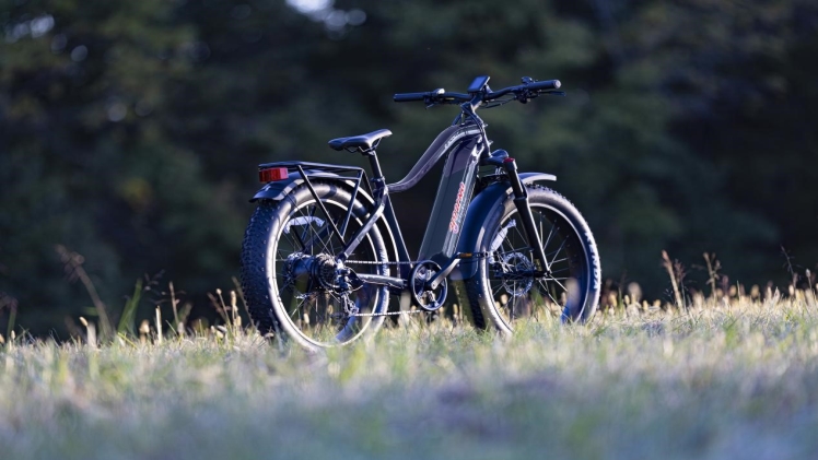 The Environmental Benefits Of Fat Tire E-bikes