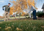 Why Lawn Aeration is Important and How to Do It Right