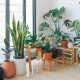 Exploring the World of Artificial Plants in Melbourne