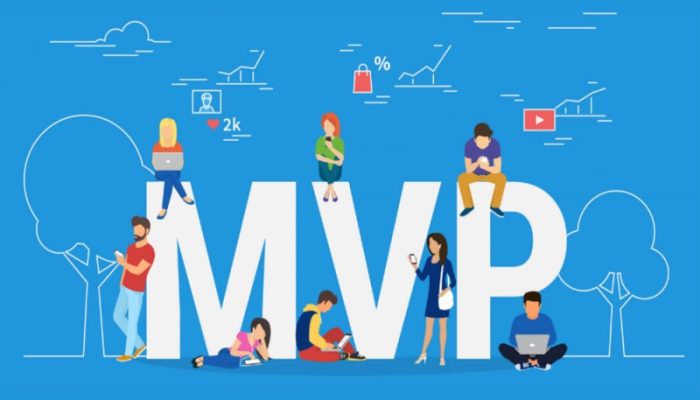 Crafting Success: The Strategic Imperative of Partnering with an MVP Development Agency