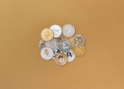 Discovering Hidden Crypto Treasures: Beneath Bitcoin’s Canopy Redux