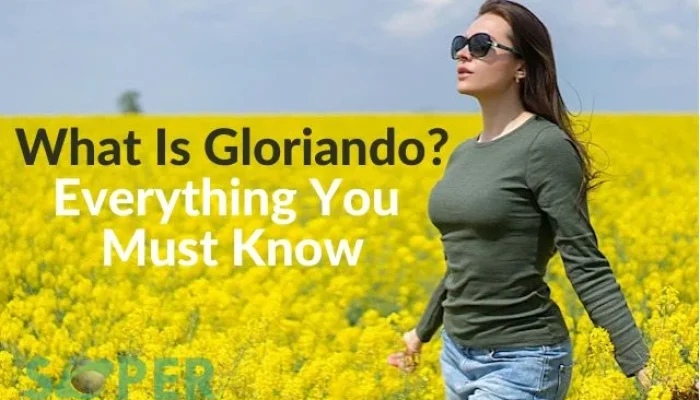 What Is Gloriando? Everything You Must Know