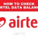 How to Check Airtel Data Balance: A Step-by-Step Guide