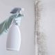 A Guide To Tackle Mold Issues