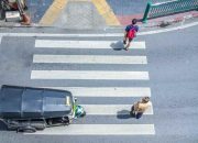 What Victims Are Expected To Prove For A Successful Pedestrian Accident Claim