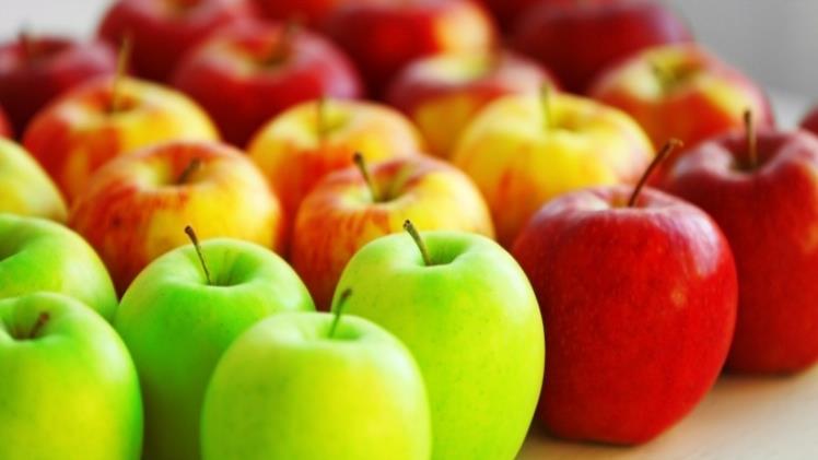 The UK’s Favourite Apple Trees: A Deep Dive into Top Varieties