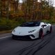 Exploring the Benefits of Lamborghini Rentals