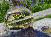 The Power of Glass in Impactful Garden Design