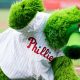 What Is A Phillie? | Sourcelearns