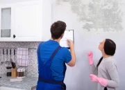 Mold Inspection: How Often to Do It and Tips for Florida Homes