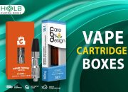 Vape Catalogs News – Vaping Legality Status for New York