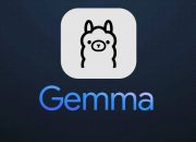 How to run Gemma AI locally using Ollama