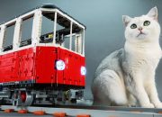 How to build a cat sized LEGO train for your feline friends to ride