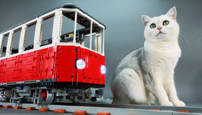 How to build a cat sized LEGO train for your feline friends to ride