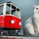 How to build a cat sized LEGO train for your feline friends to ride