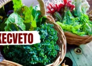 Unlocking the Power of Kecveto for Holistic Health