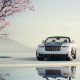 Rolls-Royce Arcadia Droptail unveiled – TechMehow