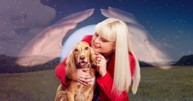 Pet psychic Beth Lee-Crowther can talk to animals – you can too | Weird News