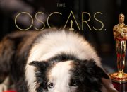 ‘Anatomy of a Fall’ Dog Cameo at Luncheon Pissed Off Oscar Contenders