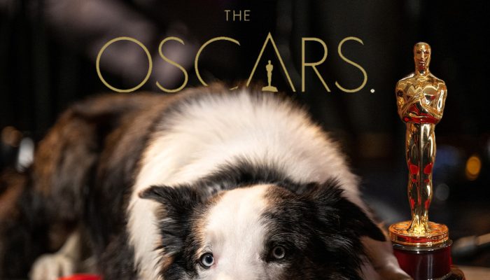 ‘Anatomy of a Fall’ Dog Cameo at Luncheon Pissed Off Oscar Contenders